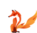 Firefox Computers