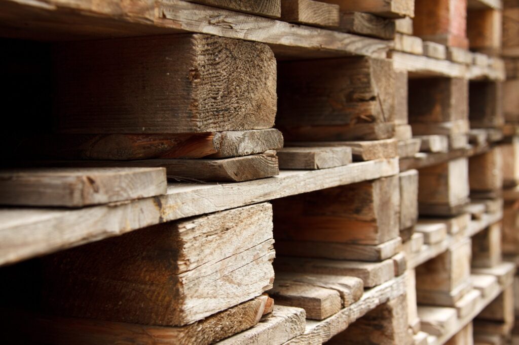 Digital Transformation for a Logistics Company: From Manual Processes to Automation